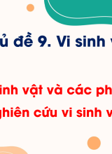 Bài 17. Vi sinh vật và các phương pháp nghiên cứu vi sinh vật